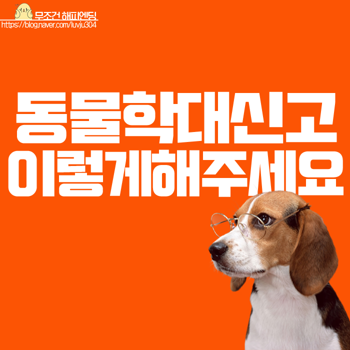  동물학대 신고 서울스마트불편신고 앱 에서도 가능해요