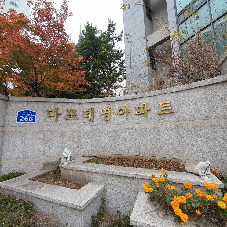 마포 태영아파트(대흥 태영아파트) 염리 초등학교 학군, 리모델링 호재 있는 꽤 괜찮은 구축 아파트 임장기