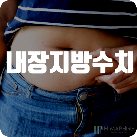 내장지방 수치가 정상수준 배가 되는 이유 3