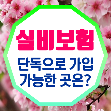 청소년 실비보험 단독 가입이 가능한 회사도 있다.