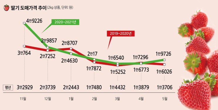 요즘 딸기가격이 비싼 이유