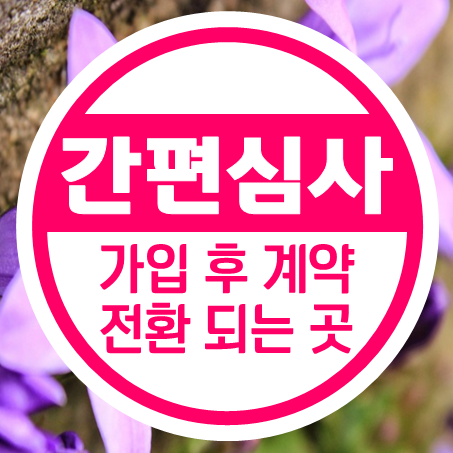  유병자건강보험 지금 들고 나중에 가격을 낮출 수 있는 곳!