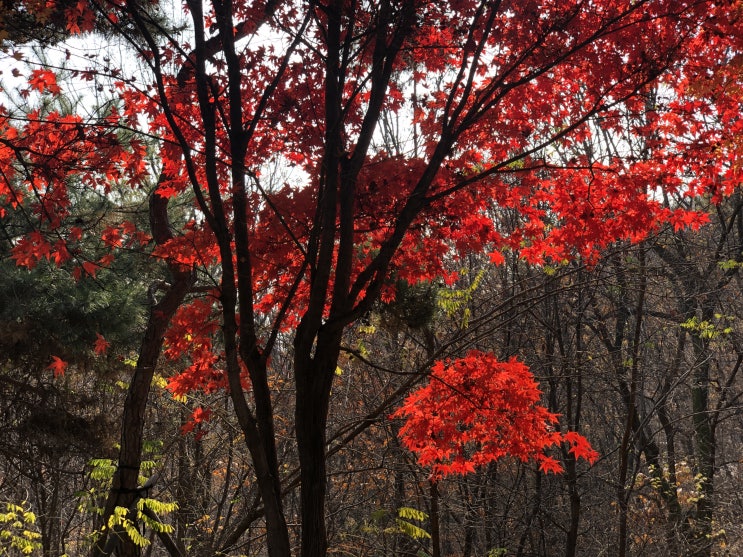  개화산에 다녀오다(강서둘레길1코스)
