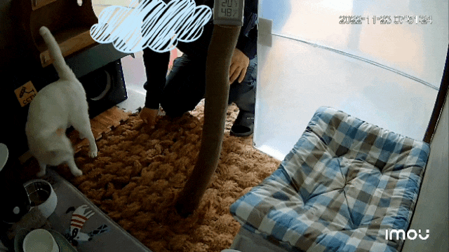  남편이 옥수에게 그냥 녹네요, 녹아!! : 임보냥옥수