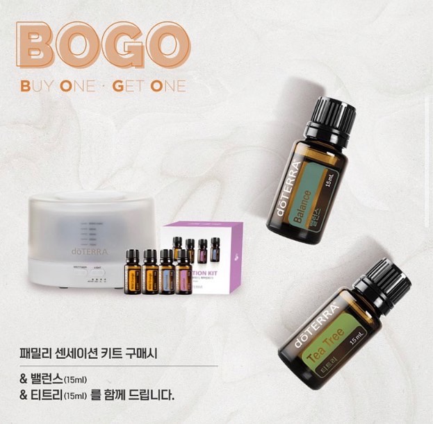  크리스마스 선물 찾으세요? 오늘 이 조합 어떠세요? BOGO 4일차!!
