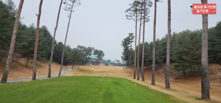  가을라운딩 경기 여주 솔모로CC 파인코스 2022년 11월말 라운딩 후기