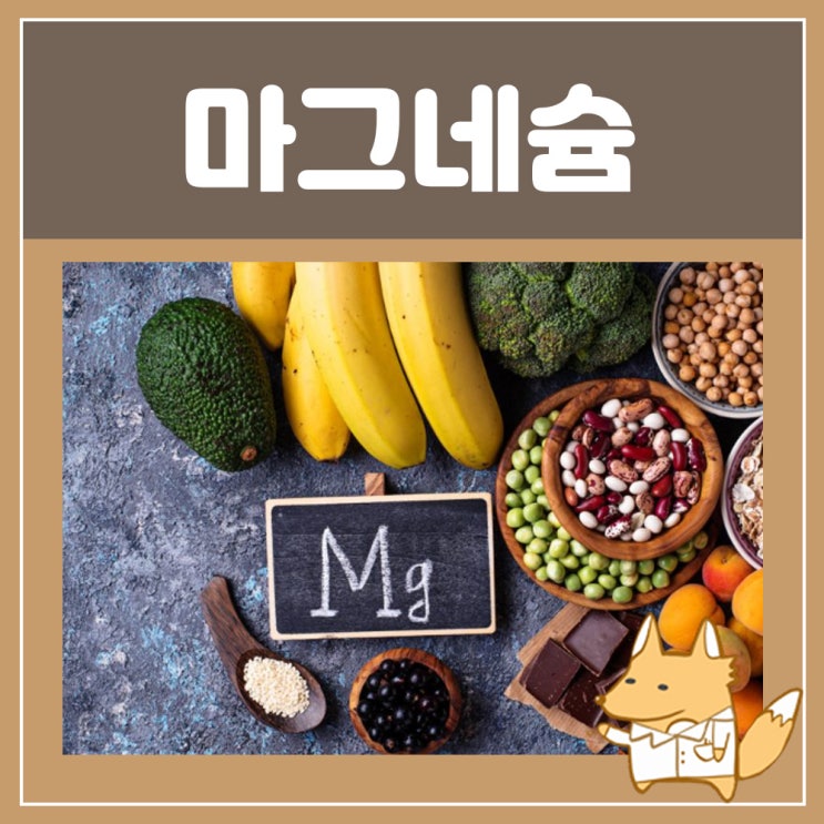  마그네슘 부족증상 마그비 : 약국 마그네슘 과다복용 부작용 복용법 하루 권장량 효과 추천