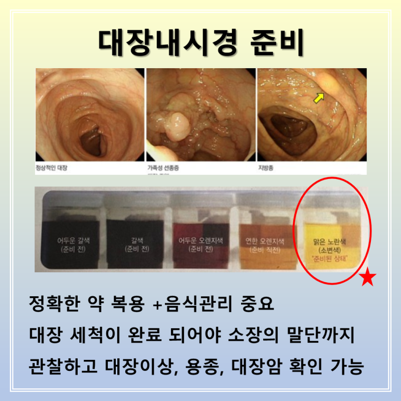 대장내시경 전 음식 후 식사, 식단 전날 커피는? : 네이버 블로그