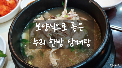  [가산디지털단지 맛집] 기력 없을 때 보양식으로 좋은 제이플라츠 누리 한방 삼계탕에서 한방 반계탕 점심 메뉴 추천