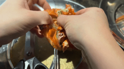  속초 전지역 배달가능한 홍게무한리필과 해산물 맛집 '속초러브마린 대게&회'