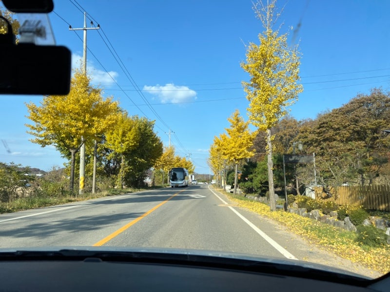 사진 4