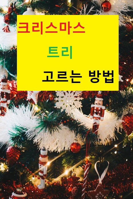  트리스마스'트리' 고르는 방법^^