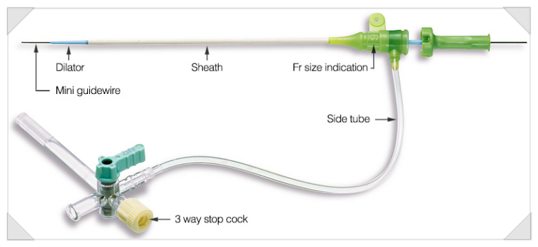 Sheath : 네이버 블로그