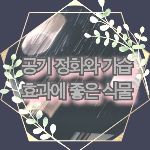 실내 공기 정화와 천연 가습효과가 좋은 식물은?