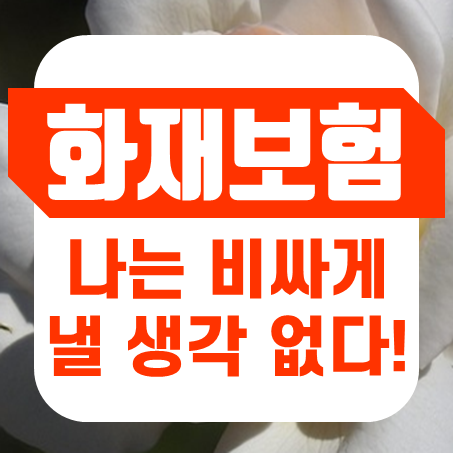  주택화재보험가격, 나는 비싸게 낼 생각은 눈곱만큼도 없다!