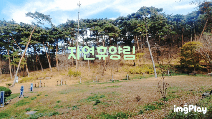  국내가족여행으로 추천 태안자연휴양림