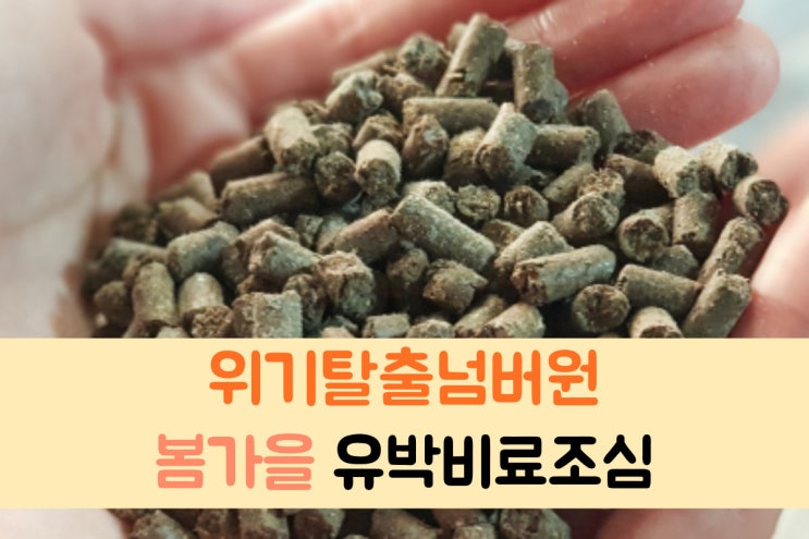  강아지 유박비료 먹었을때 증상 및 대처법