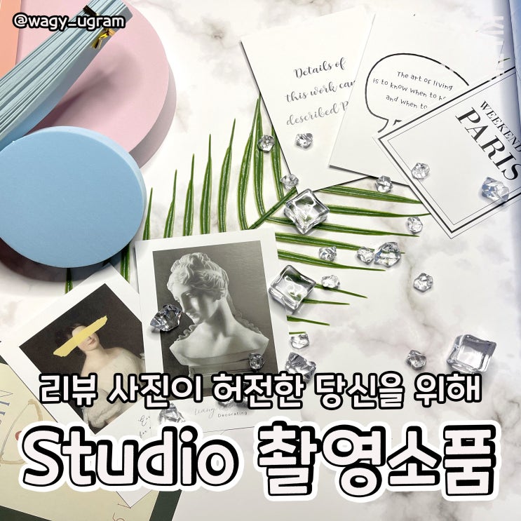  Studio201 촬영 소품 마카롱 컬러 세트 리뷰