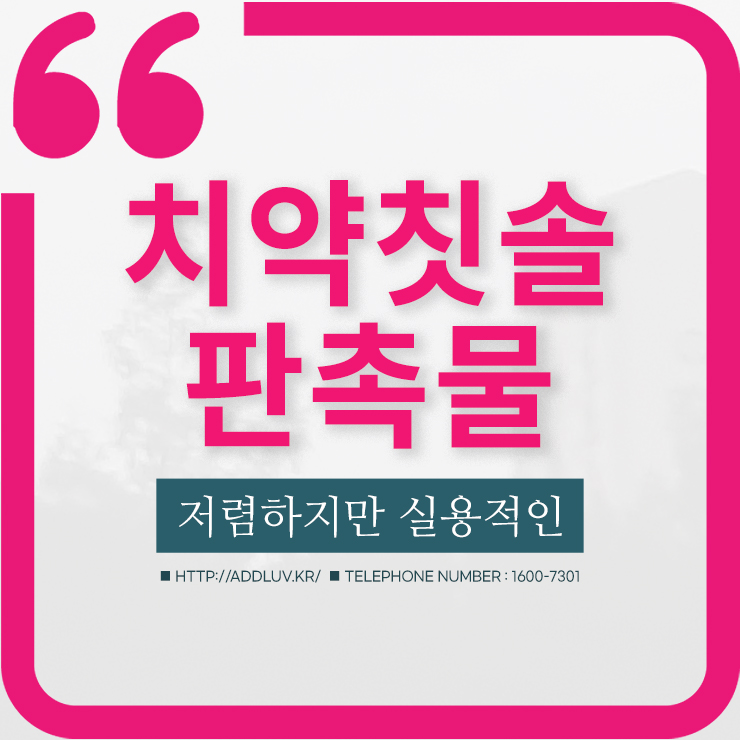 1000원 선물 홍보용품으로 칫솔치약세트