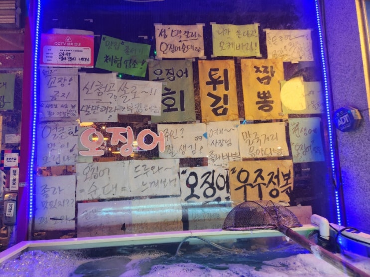  상봉맛집 오징어회 먹을땐? 찡어찡어 이날 싯가 36,000원 오징어로 우주정복 (장단점)