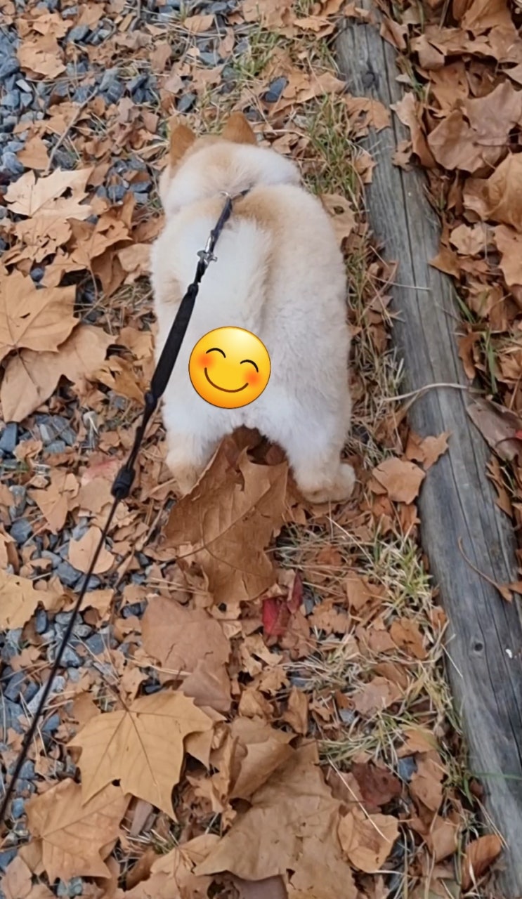  경계하면서 할 거 다 하는 사랑이