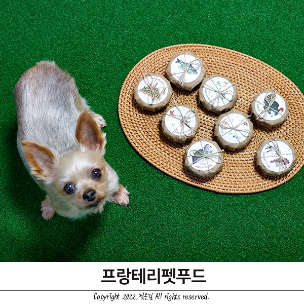 강아지화식 신선한 테리린 프랑테리펫푸드 강아지화식 신선한 테리린 프랑테리펫푸드