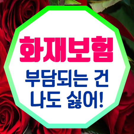  부담되는 건 나도 싫다! 그래서 소멸성화재보험 추천한다!