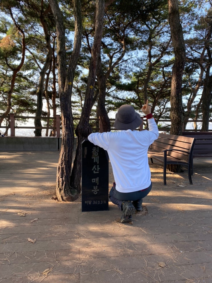  과천에도 매봉이 있나요? 청계산 과천매봉 등산기!! (서울대공원 출발 등산로 안내, 주차정보 등 / 과천 순대국 맛집! 은지영양순대!! )