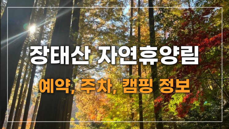 대전 장태산 자연휴양림 주차/예약/캠핑 정보