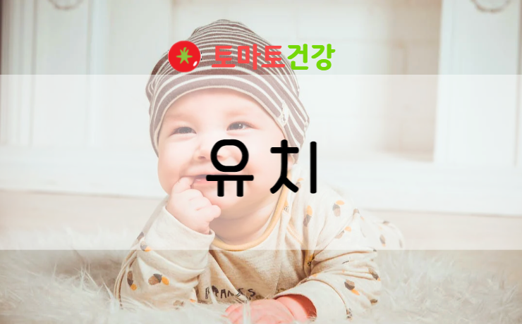  연령별 가장 많이 받는 치과 치료
