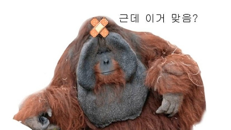  대통령실 “中 OTT 한한령 해제… 정상회담 성과”