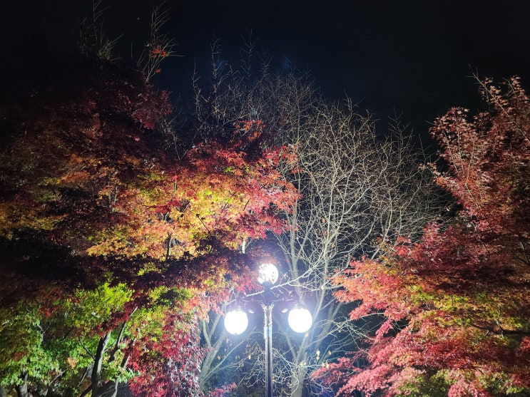  학교폭력예방 및 대책에 관한 법률(학교폭력예방법)의 의의