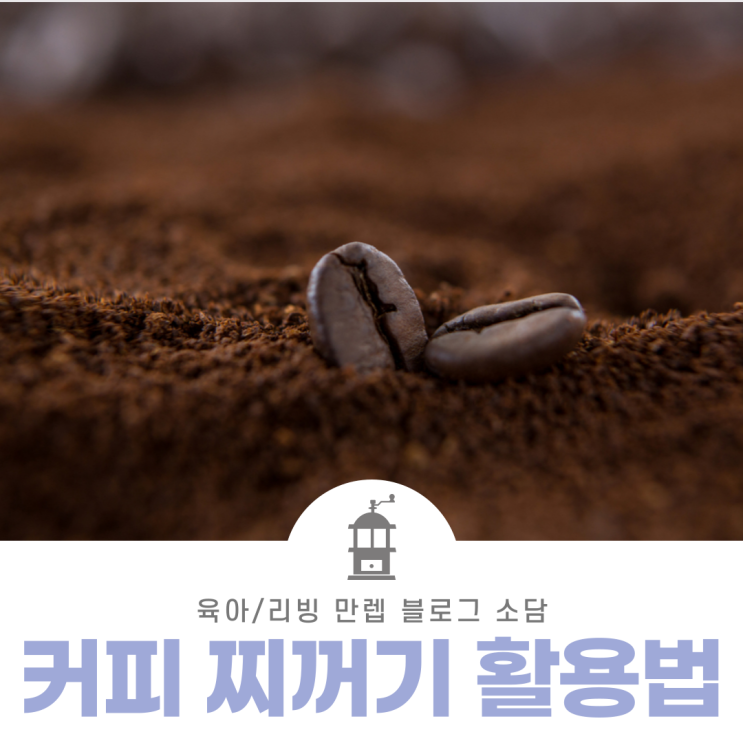  커피찌꺼기활용법 그냥 버리지 마세요