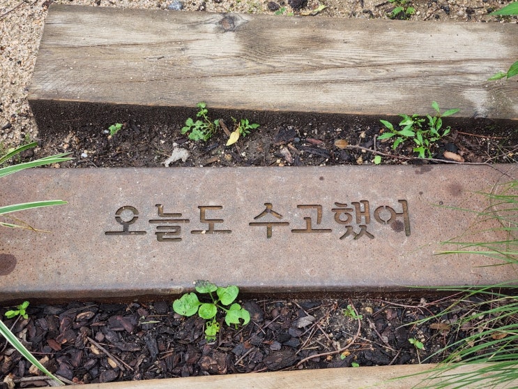  머피의 법칙, 샐리의 법칙, 줄리의 법칙 차이점