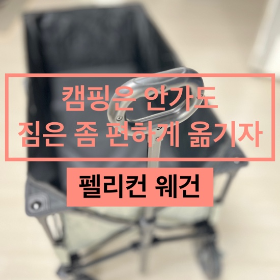  [내돈내산]짐 옮길 때 쓰려고 산 카즈미 펠리컨 웨건 개봉기