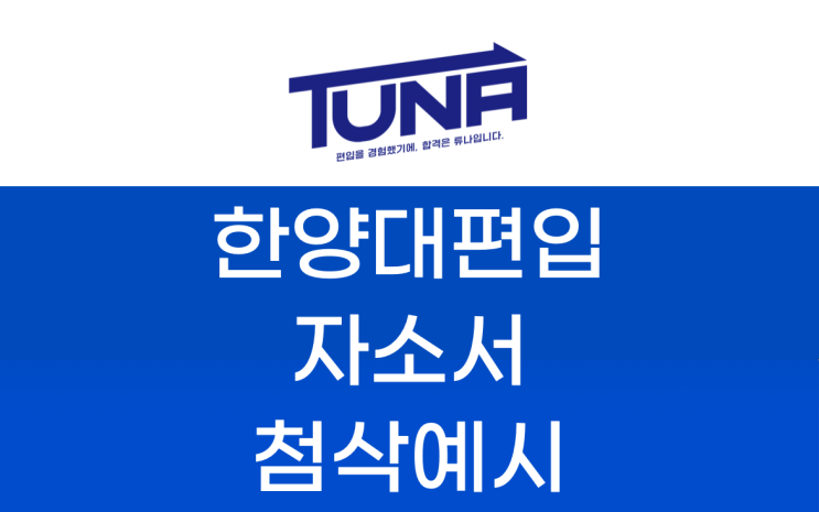  편입 자기소개서 첨삭 예시 [한양대 경영 편입 자기소개서]