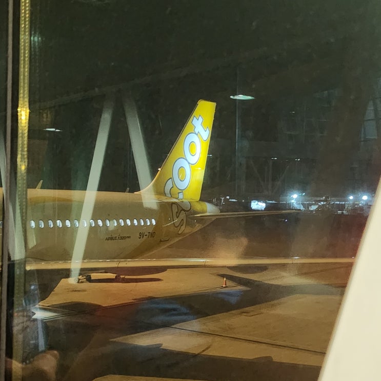  싱가포르 자유여행 4박 5일 (입국, 꿀팁, 숙소, 맛집, 차이나타운, 갤러리, 시장, 지하철, 버스) 관광  1탄