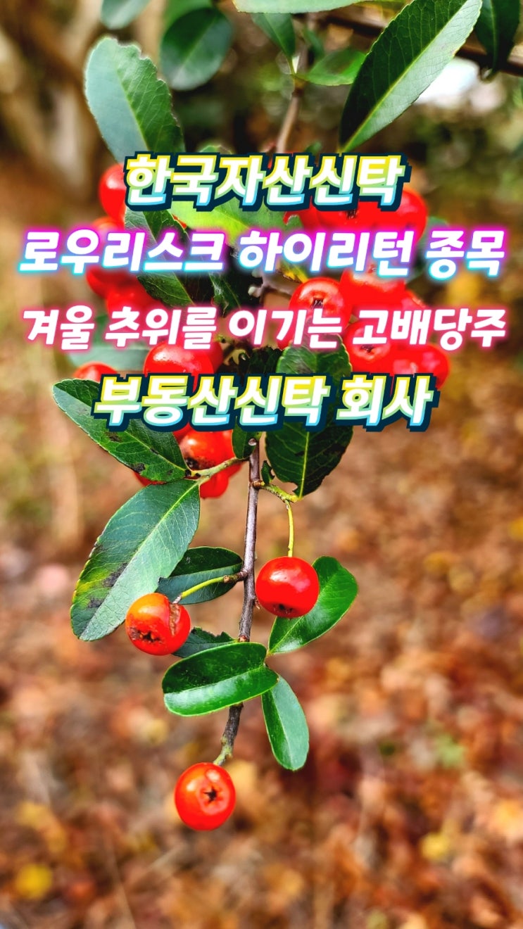 한국자산신탁, 연말 배당주로 추천