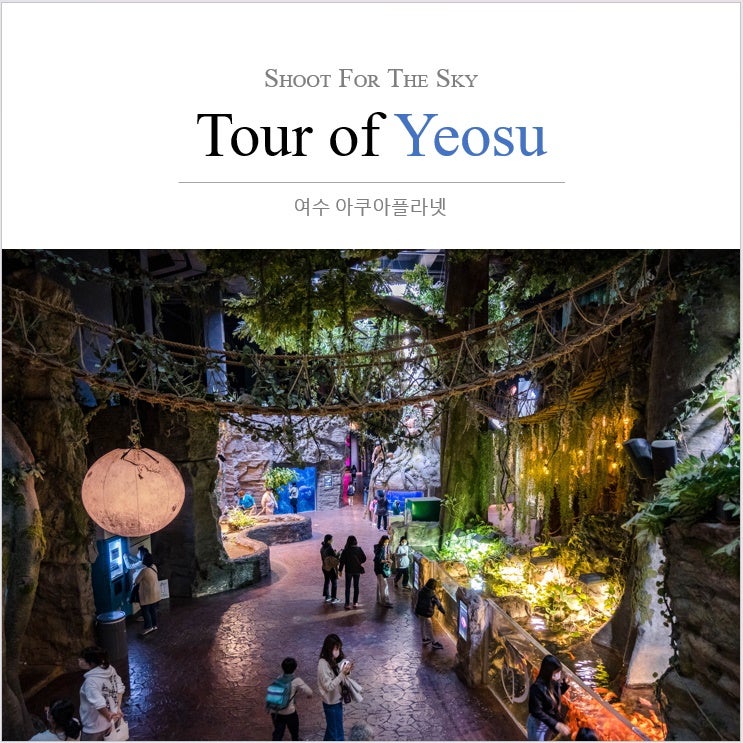 여수가족여행 아쿠아플라넷 겨울코스 추천