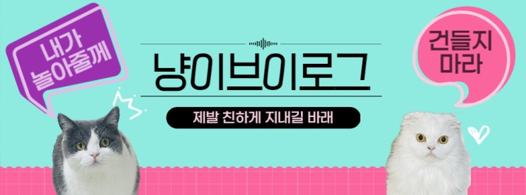  [냥이 일상] 제발 친하게 지내길 바라 - 03