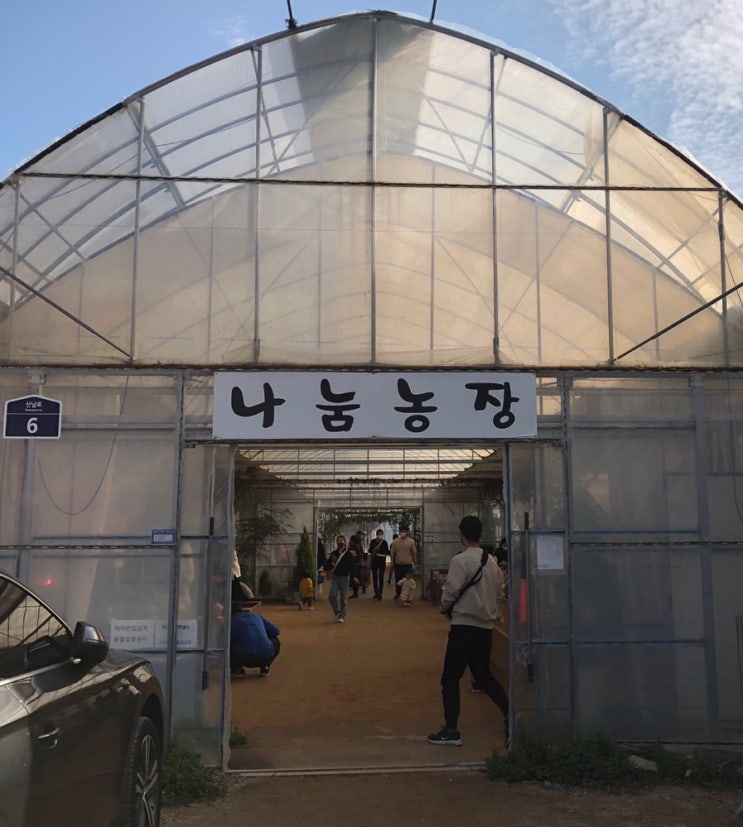  파주 나눔농장에서 동물들과 친해지기