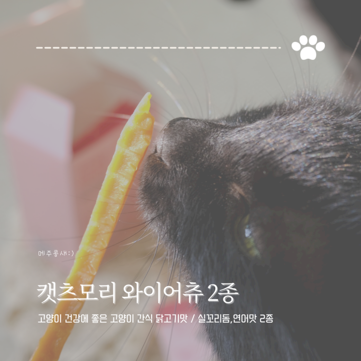자꾸 무는 고양이간식 추천 :: 캣츠모리 와이어츄 고양이 껌