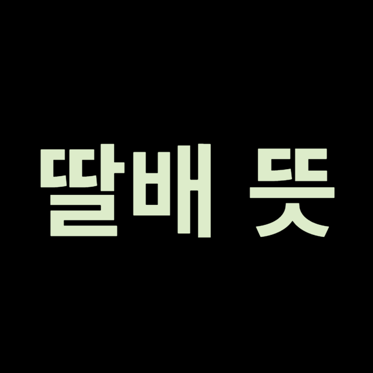  딸배 뜻, 이거 도대체 뭔가요?(feat. 딸배헌터)