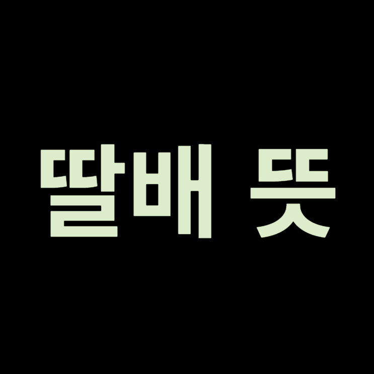 딸배 뜻, 이거 도대체 뭔가요?(feat. 딸배헌터)