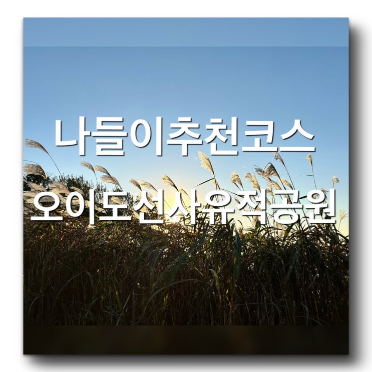 [아이와 갈만한곳] 멋진 억새풀 포토존 공원! 산책하기 좋은 공원! 움집 구경도 하고 체험프로그램도 있는 경치 좋고 전망 좋은 오이도 선사유적공원을 소개합니다