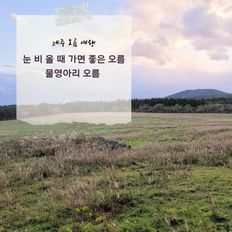  제주 람사르 습지 오름 추천 - 제주 동쪽 물영아리오름 탐방 소요시간