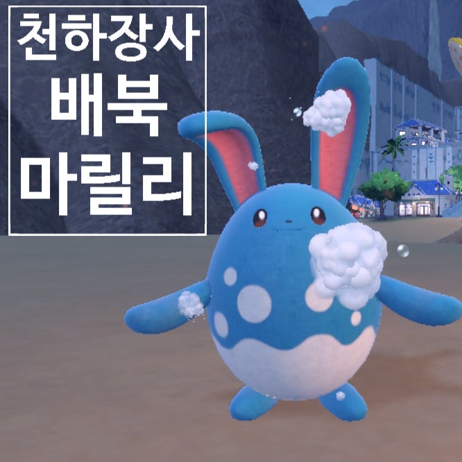  포켓몬 스칼렛 바이올렛 공략, 테라레이드 전용 배북 마릴리 만드는법