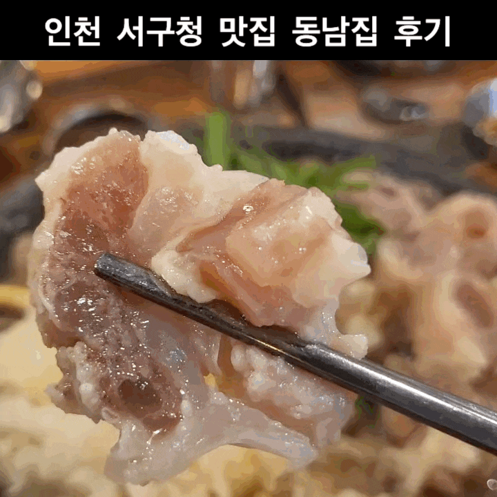 인천 서구청 맛집 동남집 술모임 후기