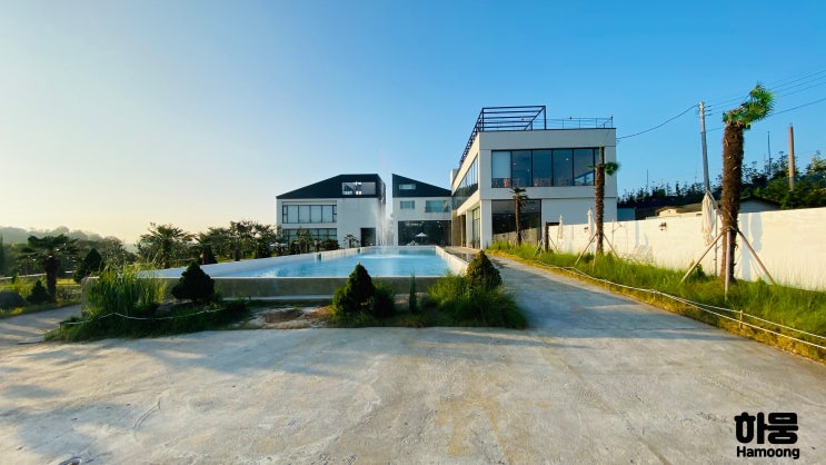  전주 근처 식물원 포토존을 탑재한 초대형 디저트카페 '그날의온도'(애견동반가능)