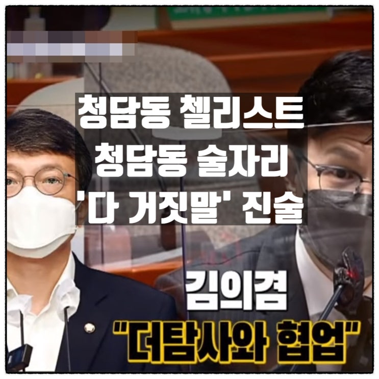  첼리스트 첼로채아 '청담동술자리 다 거짓말' 진술